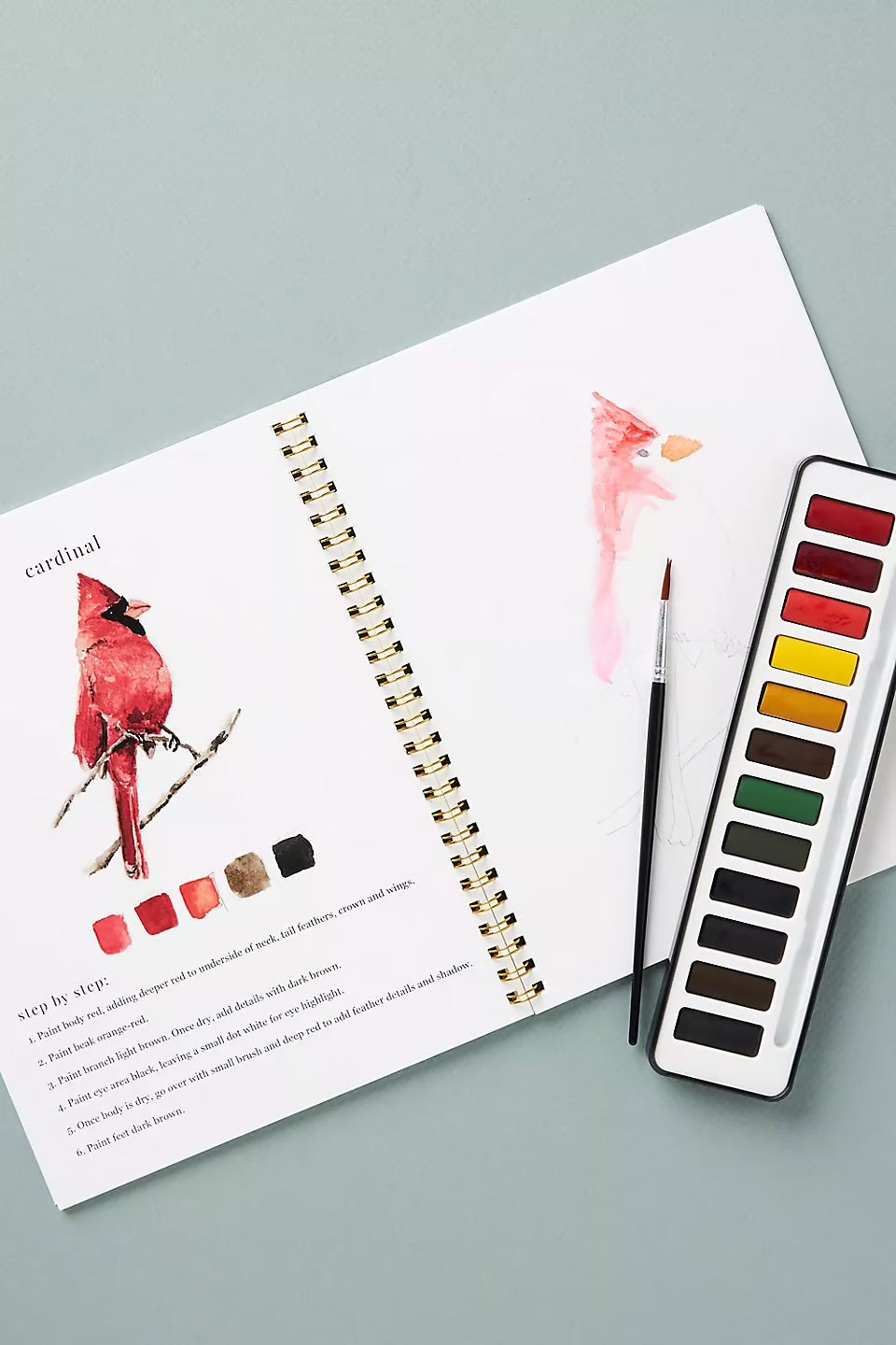 Akvarellique | Tänd din kreativitet med vår roliga arbetsbok för akvarell!