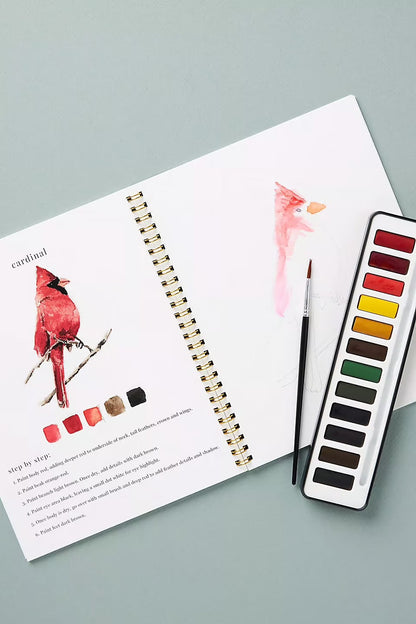 Akvarellique | Tänd din kreativitet med vår roliga arbetsbok för akvarell!