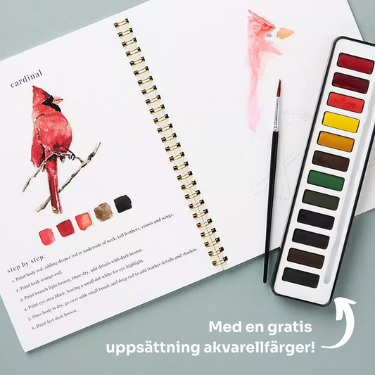 Akvarellique | Tänd din kreativitet med vår roliga arbetsbok för akvarell!
