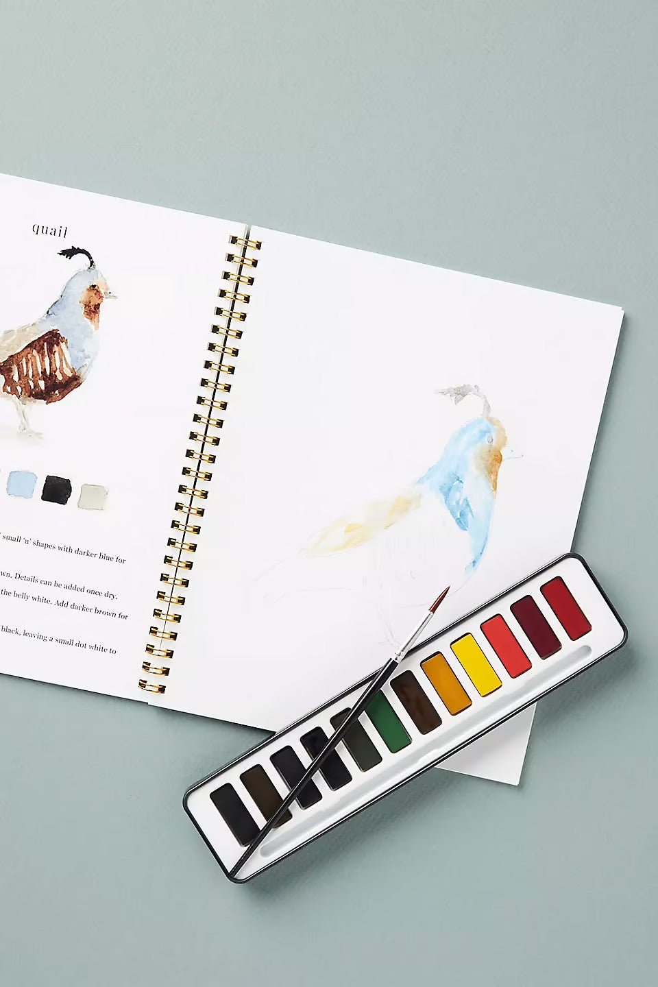 Akvarellique | Tänd din kreativitet med vår roliga arbetsbok för akvarell!